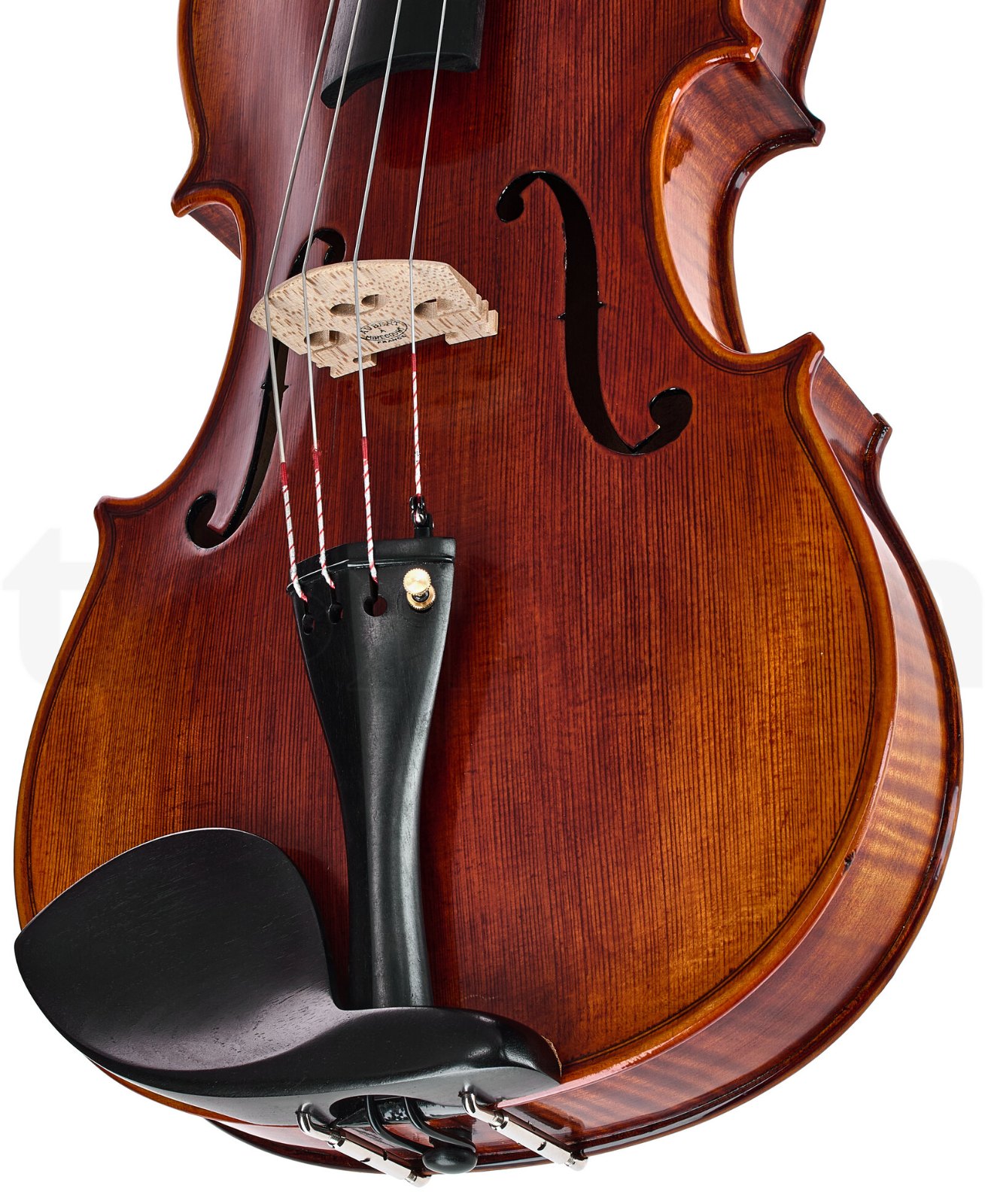 כלי קשת Stentor SR1876 Elysia Viola 16" 4 כלי קשת Stentor SR1876 Elysia Viola 16" – תמונה 4