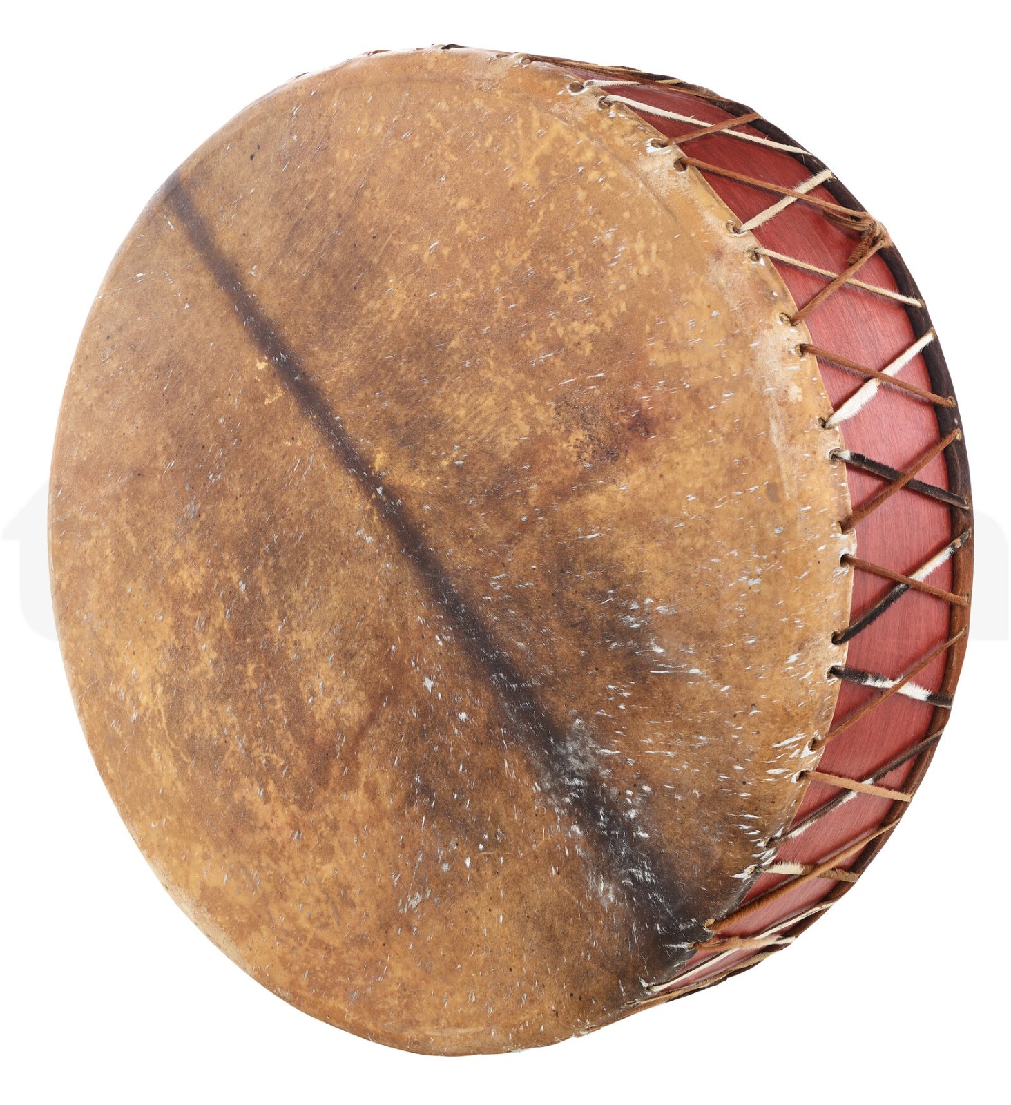 כלי נגינה אתני Terre Motherdrum 120 3 כלי נגינה אתני Terre Motherdrum 120 – תמונה 3
