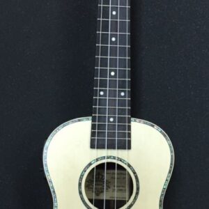 עמוד הבית 2026 28 יוקללה קונצרט מוגבר ROMEO UK-2880-24EQ