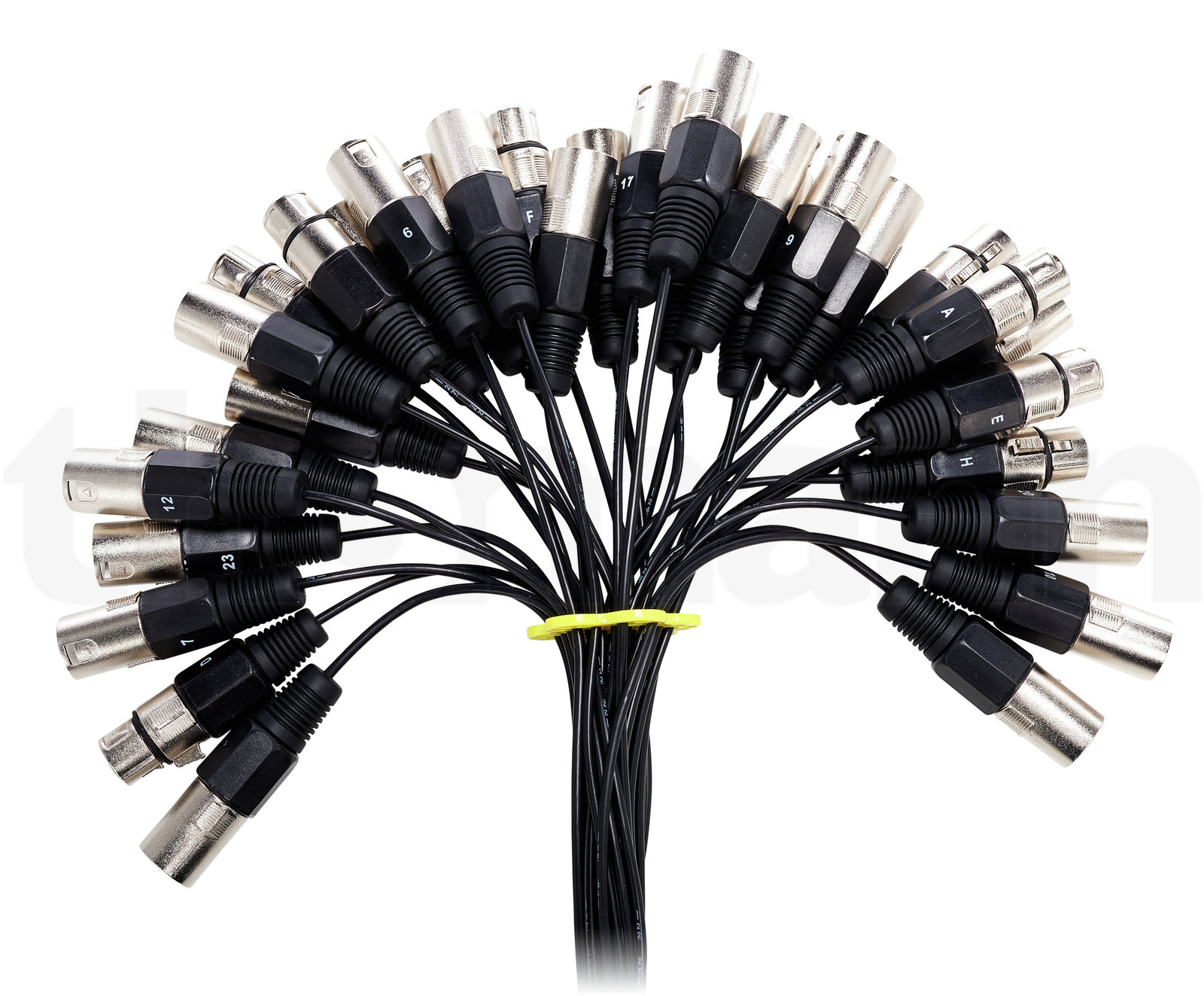 כבל אודיו the sssnake MC 24/8 Multicore 3 כבל אודיו the sssnake MC 24/8 Multicore — תמונה 3