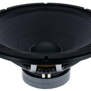 רמקול גלם Eighteensound 21LW1400