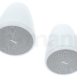 רמקול גלם Bose Professional DesignMax DM3P white