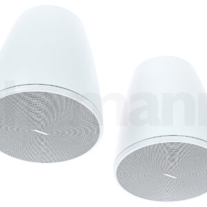 רמקול גלם Bose Professional DesignMax DM6PE white