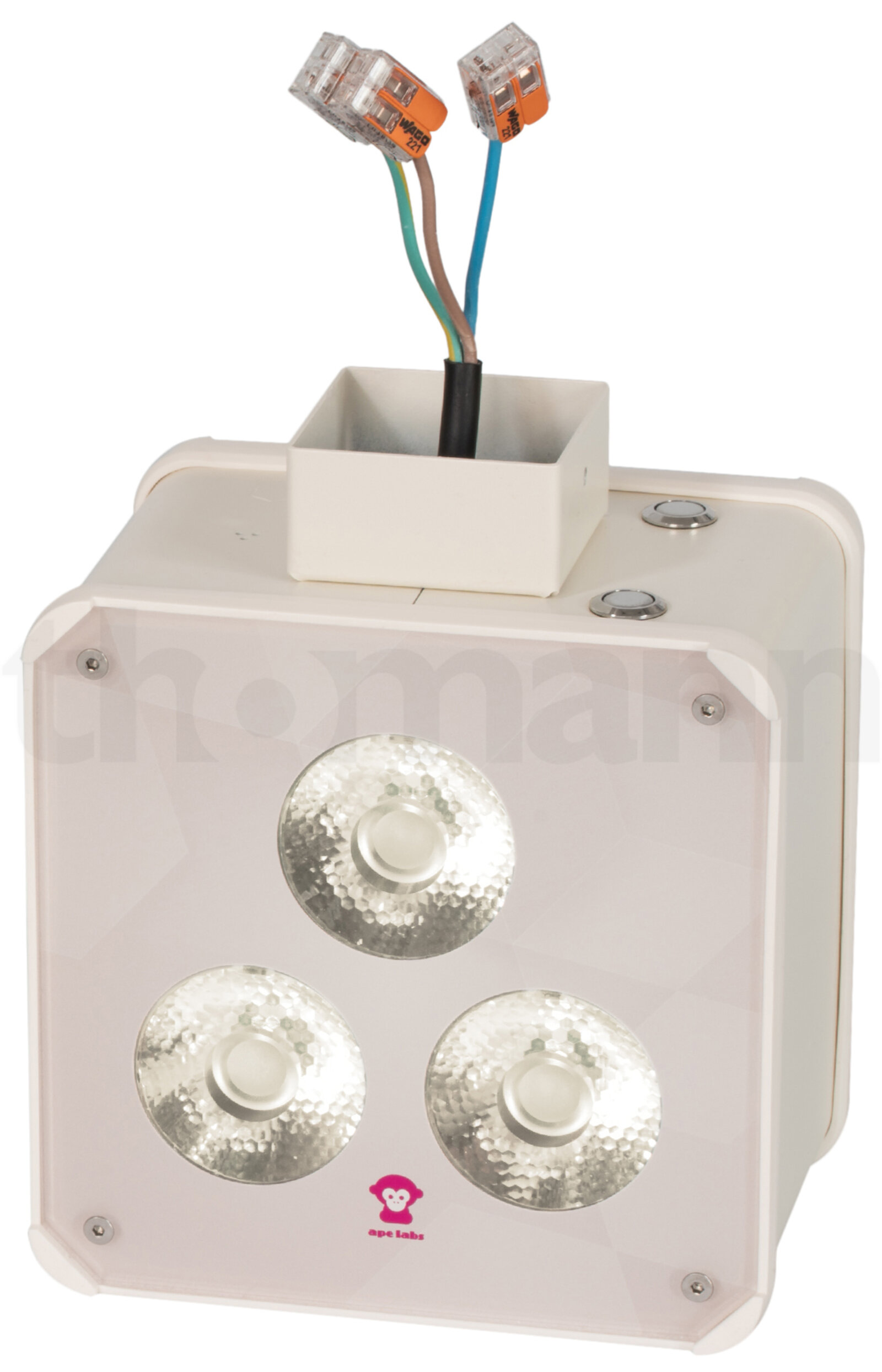 פנס PAR LED Ape Labs Double Wall Maxi V2 45u00b0 Creme 6 פנס PAR LED Ape Labs Double Wall Maxi V2 45u00b0 Creme — תמונה 6
