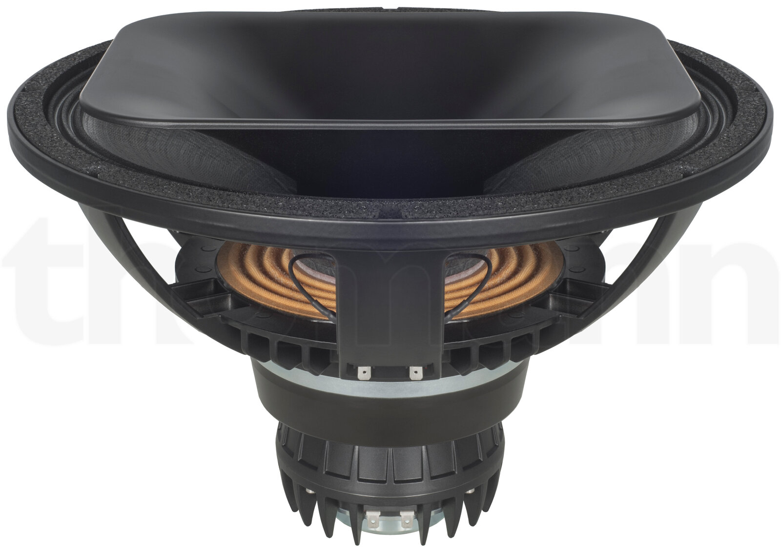 רמקול גלם B&C 15HTX100 2 רמקול גלם B&C 15HTX100 — תמונה 2