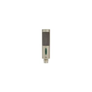 מיקרופון סרט Royer Labs R-10