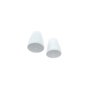 רמקול גלם Bose Professional DesignMax DM6PE white