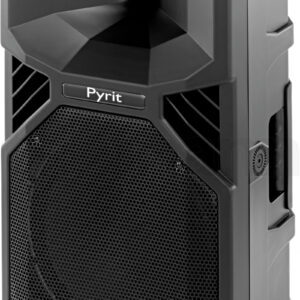 רמקול פסיבי the box Pyrit 12