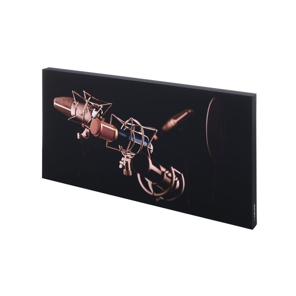 פאנל אקוסטי מודפס t.akustik 120×60 ס״מ – הדפס Mic Check, מסגרת MDF, בד שקוף לקול, כולל תלייה 1 פאנל אקוסטי מודפס t.akustik 120×60 ס״מ – הדפס Mic Check, מסגרת MDF, בד שקוף לקול, כולל תלייה