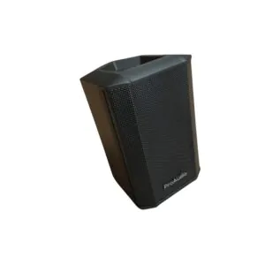 בידורית ניידת 5.5 אינץ׳ עם מיקרופון ידני PRO AUDIO SKL-655H