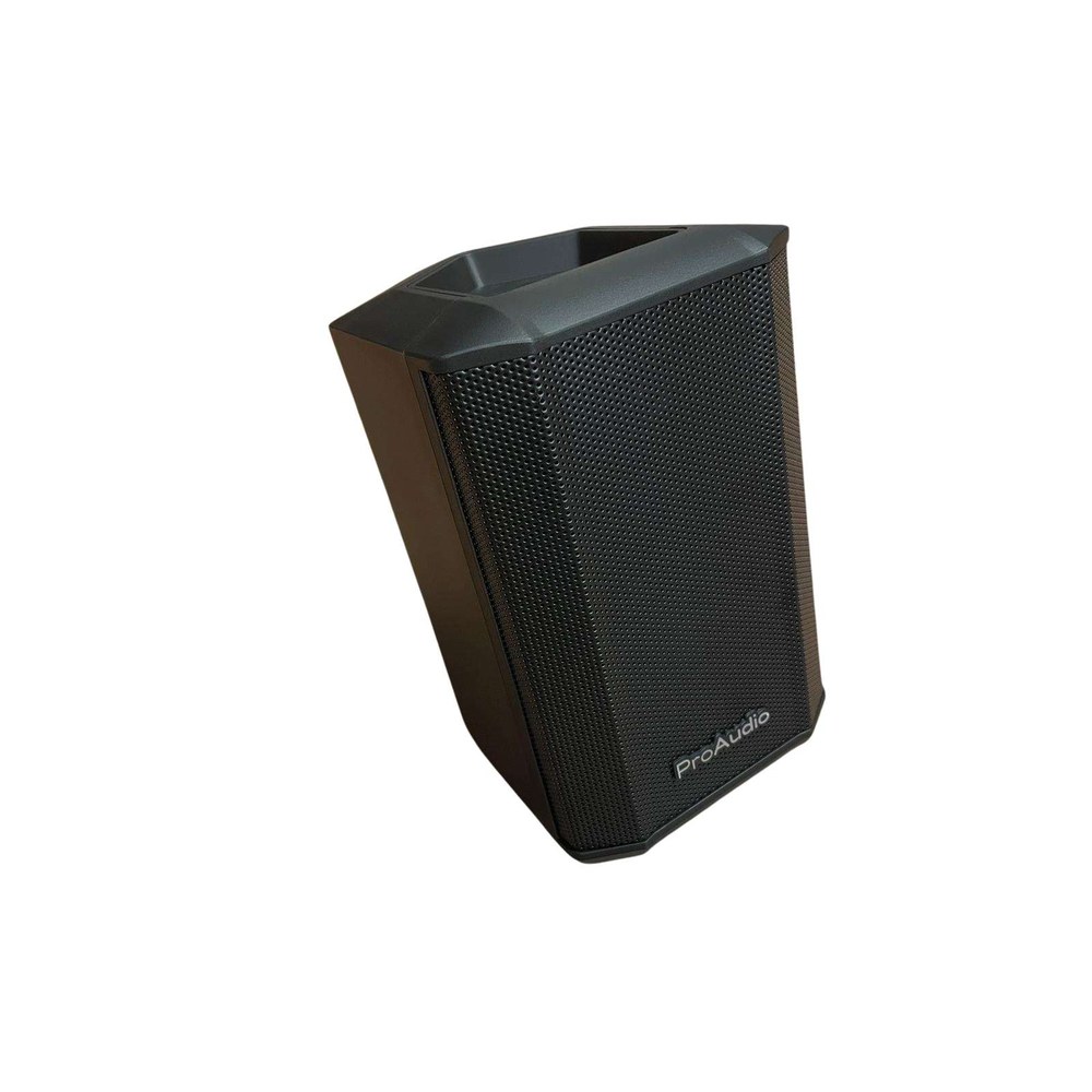 בידורית ניידת 5.5 אינץ׳ עם מיקרופון מדונה PRO AUDIO SKL-655M 1 בידורית ניידת 5.5 אינץ׳ עם מיקרופון מדונה PRO AUDIO SKL-655M
