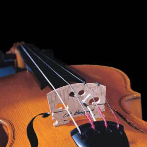 L.R. Baggs Violin Pickup – פיקאפ לכינור עם Carpenter Jack