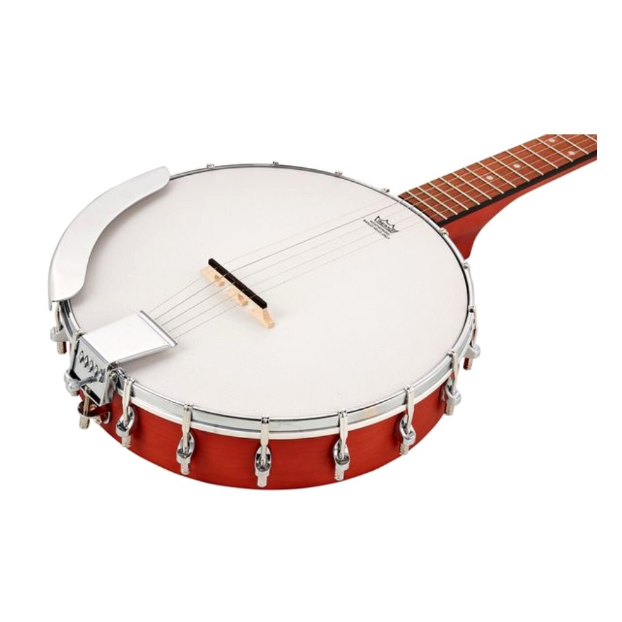 בנג'ו אפיפון Epiphone MB-100 — 5 מיתרים גב פתוח 3 גוף הבנג'ו וראש Remo — בנג'ו אפיפון MB-100 בזווית