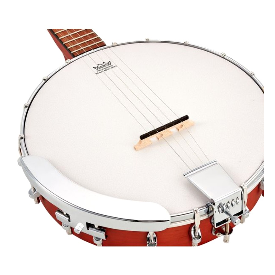 בנג'ו אפיפון Epiphone MB-100 — 5 מיתרים גב פתוח 4 ראש Remo וגשר — תקריב מבנג'ו אפיפון MB-100