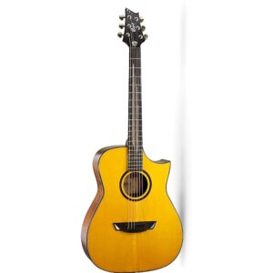 גיטרה אקוסטית מוגברת Cort Luxe II Frank Gambale כולל ארגז