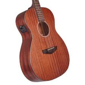 גיטרה אקוסטית מוגברת D’Angelico Premier Tammany LS מהגוני סאטן