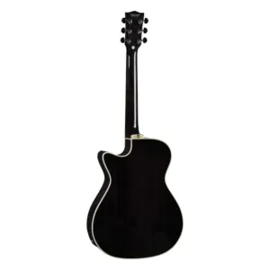 גיטרה אקוסטית מוגברת שחורה EKO NXT A100ce See Through Black – Auditorium עם קאטאוויי