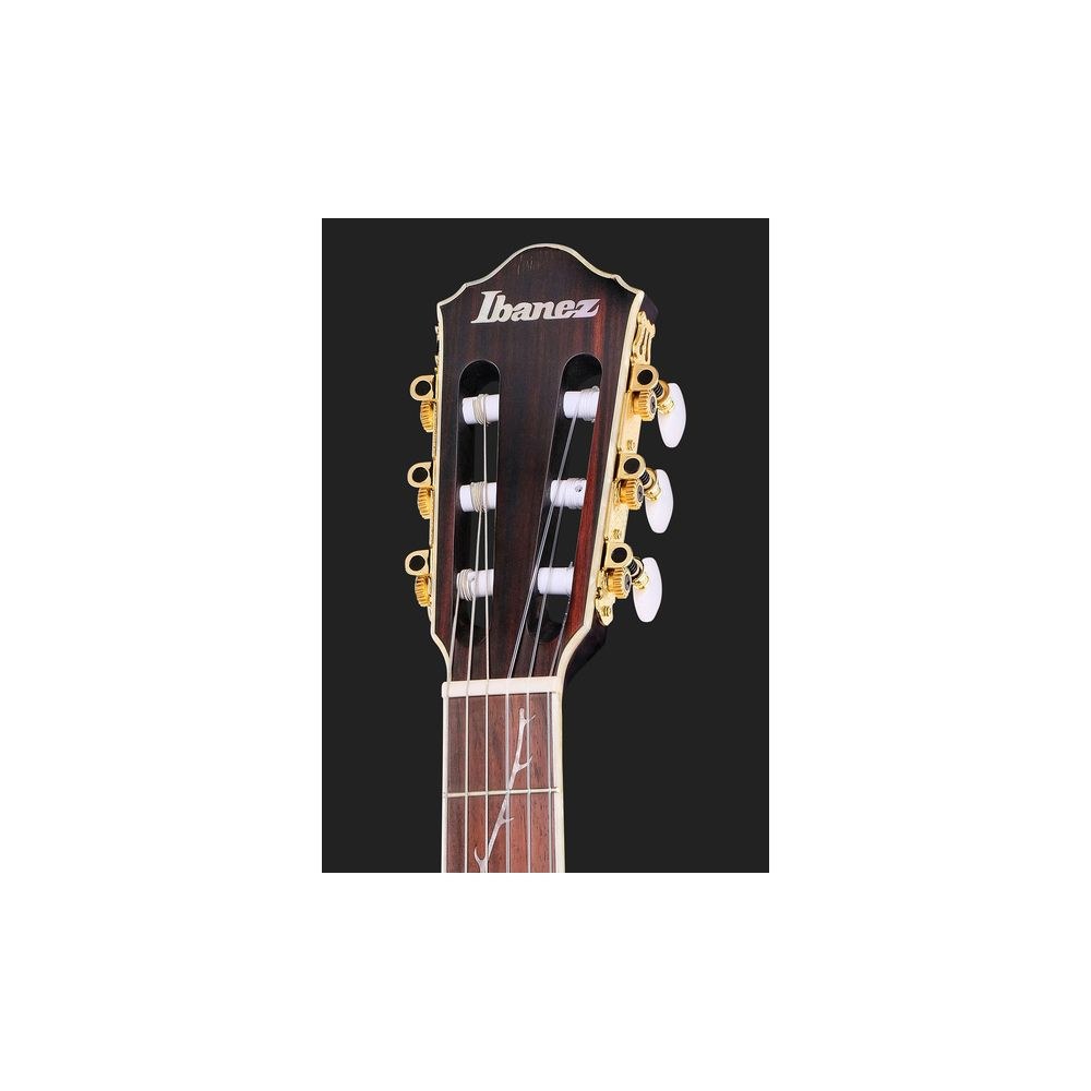 גיטרה קלאסית מוגברת Ibanez Tim Henson TOD10N – דגם חתימה של Polyphia 6 Ibanez TOD10N – גיטרה קלאסית מוגברת, תמונה 6