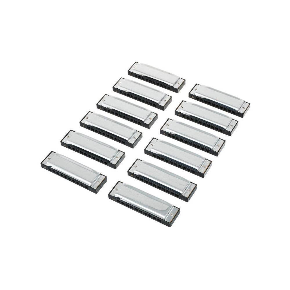 סט 12 מפוחיות בלוז Harley Benton – בכל הסולמות, 10 חורים, מזוודה מרופדת (יבוא בלעדי) 2 סט מפוחיות הבלוז של Harley Benton – סט מפוחיות בלוז, תמונה 2