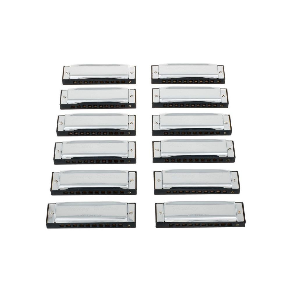 סט 12 מפוחיות בלוז Harley Benton – בכל הסולמות, 10 חורים, מזוודה מרופדת (יבוא בלעדי) 3 סט מפוחיות הבלוז של Harley Benton – סט מפוחיות בלוז, תמונה 3
