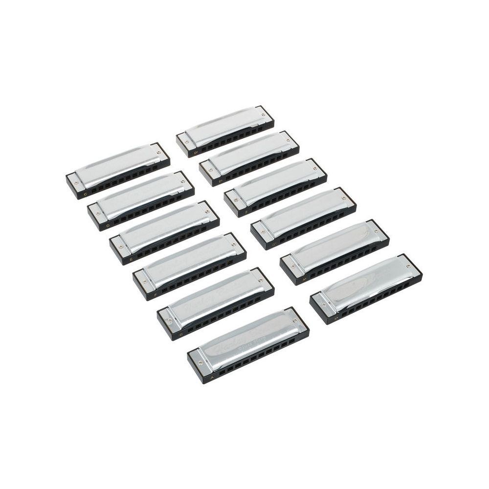 סט 12 מפוחיות בלוז Harley Benton – בכל הסולמות, 10 חורים, מזוודה מרופדת (יבוא בלעדי) 4 סט מפוחיות הבלוז של Harley Benton – סט מפוחיות בלוז, תמונה 4