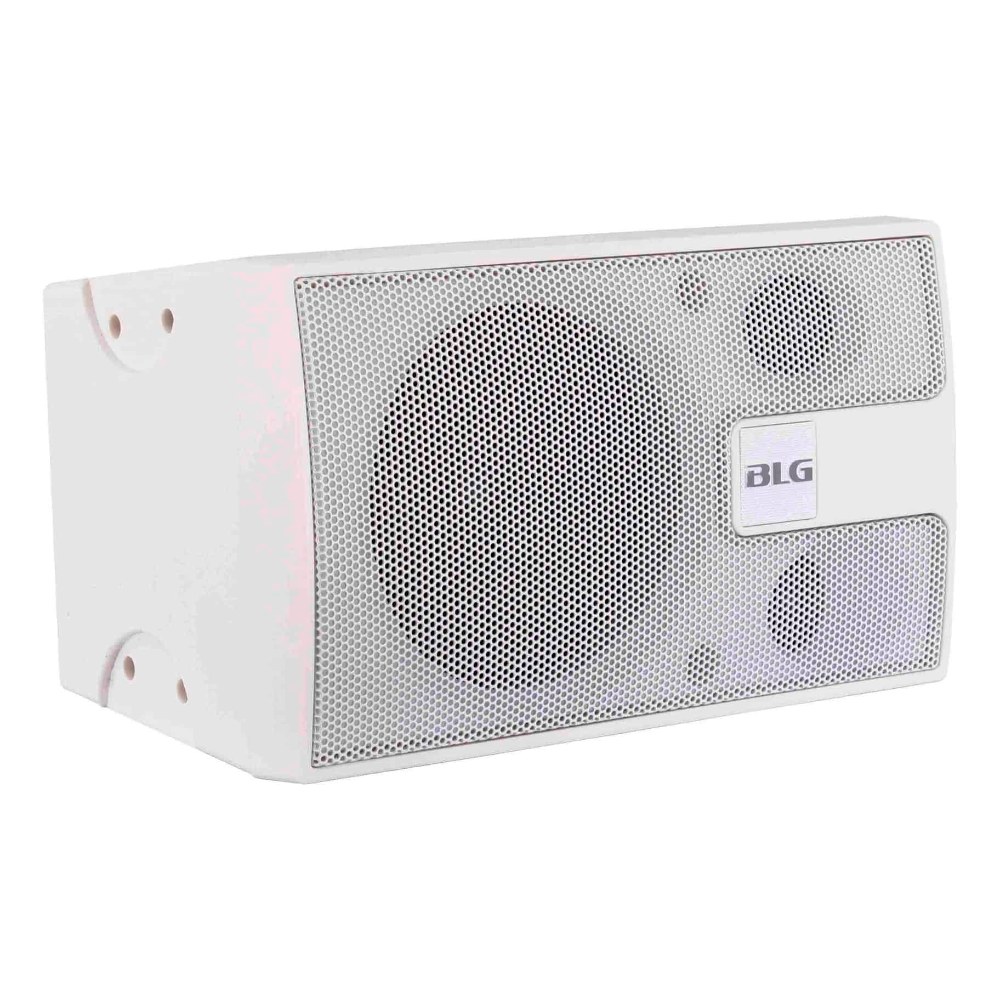 רמקול מיני ליין אריי פסיבי BLG Audio LSP-4 – 300W מרבי ופיזור 180° להתקנות קבע 3 רמקול מיני ליין אריי BLG Audio LSP-4 להתקנה – תמונה 3