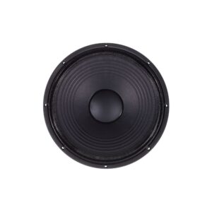 רמקול גלם 15 אינץ׳ the box – 300W RMS, 8 אוהם, שלדת אלומיניום יצוקה, 50–4000Hz