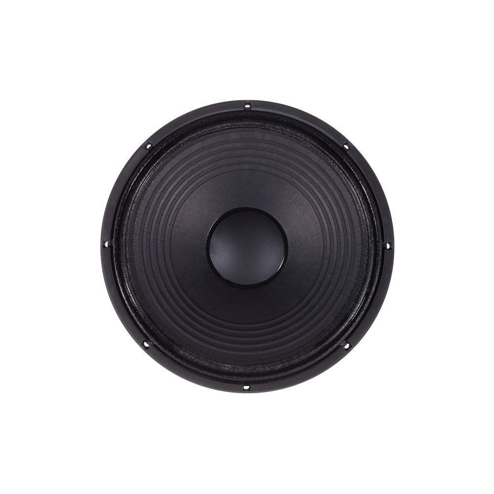 רמקול גלם 15 אינץ׳ the box – 300W RMS, 8 אוהם, שלדת אלומיניום יצוקה, 50–4000Hz 2 רמקול הגלם 15 אינץ׳ של the box – רמקול גלם 15 אינץ׳, תמונה 2