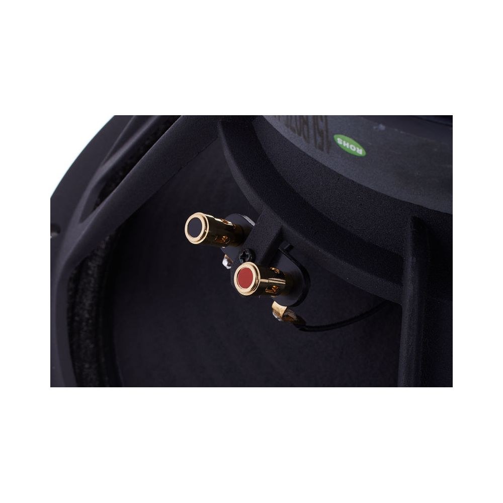 רמקול גלם 15 אינץ׳ the box – 300W RMS, 8 אוהם, שלדת אלומיניום יצוקה, 50–4000Hz 5 רמקול הגלם 15 אינץ׳ של the box – רמקול גלם 15 אינץ׳, תמונה 5