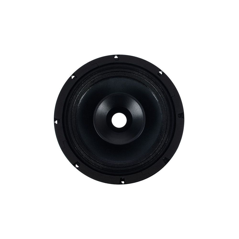 רמקול חלופי 8 אינץ׳ לשופר החוץ the box i208 – 200W, 8 אוהם, חלק חילוף מקורי 2 הרמקול החלופי ל-i208 – רמקול חלופי, תמונה 2
