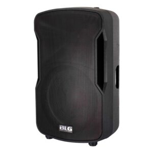 רמקול פסיבי 12 אינץ׳ BLG Audio BP13-12 – 800W (400W RMS) עם כניסת Speakon