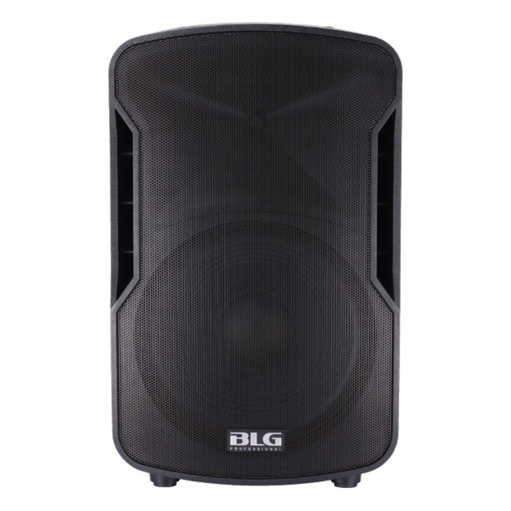 רמקול פסיבי 12 אינץ׳ BLG Audio BP13-12 – 800W (400W RMS) עם כניסת Speakon 2 רמקול פסיבי 12 אינץ׳ BLG Audio BP13-12 – תמונה 2