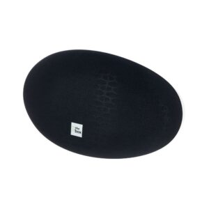 רמקול פסיבי the box 10 אינץ׳ שחור – 2 טוויטרים, 600W שיא, 8 אוהם, נקודות תלייה ותושבת קיר