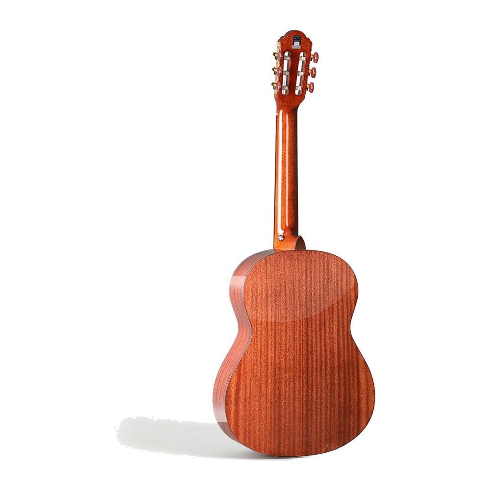 גיטרה קלאסית 39" – צמרת ארז (Cedar), טבעי – SQOE EC3968-NS 3 גיטרה קלאסית 39" – צמרת ארז (Cedar), טבעי – SQOE EC3968-NS – תמונה 2