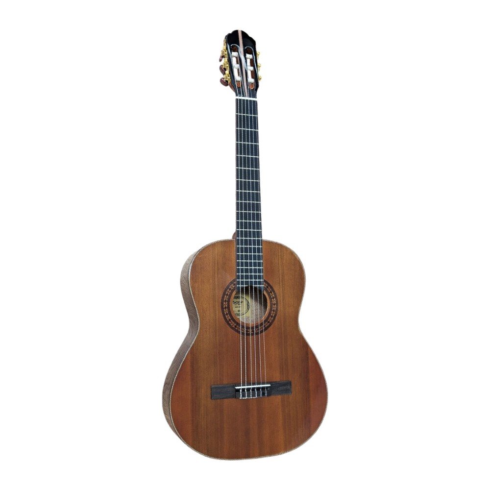 גיטרה קלאסית 39" – צמרת ארז (Cedar), טבעי – SQOE EC3968-NS 4 גיטרה קלאסית 39" – צמרת ארז (Cedar), טבעי – SQOE EC3968-NS – תמונה 3