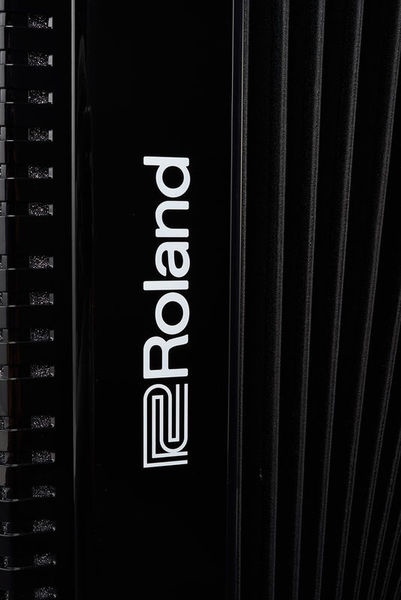 אקורדיון דיגיטלי Roland FR-4X עם 120 בסים – 37 קלידים, 100 סטים של אקורדיון, רמקולים והקלטה 6 אקורדיון דיגיטלי Roland FR-4X – תמונה 6