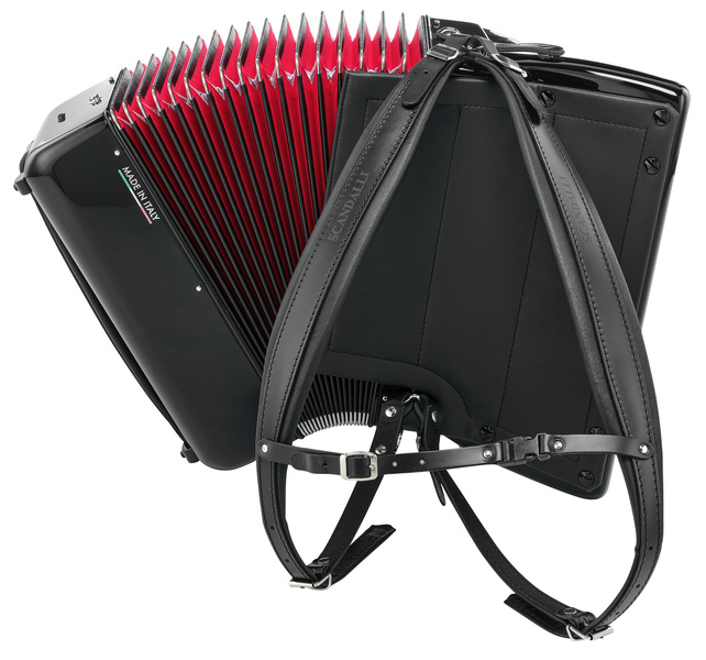 אקורדיון Scandalli Air Mini איטלקי – 72 בסים, 34 קלידים, 3 שורות, קייס ורצועות 4 אקורדיון Scandalli Air Mini – תמונה 4