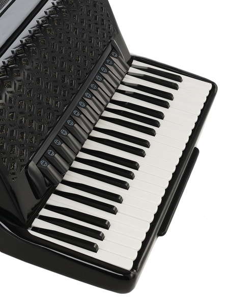 אקורדיון פסנתר Startone עם 120 בסים ו-4 שורות לשוניות – 41 קלידים, 13 רגיסטרים, תיק גב ורצועות 5 אקורדיון פסנתר Startone 120 בסים IV – תמונה 5